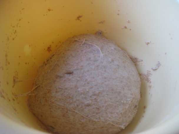 Celozrnné pečivo so slnečnicovými semienkami (fotorecept) - obrázok 2