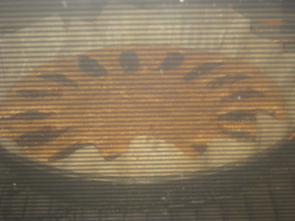 Celozrnný špaldový koláč s datlami (fotorecept) - obrázok 7