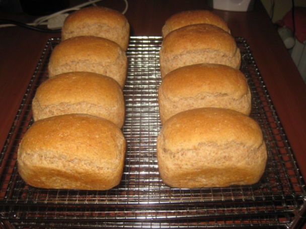 Špaldové celozrnné pečivo s jogurtom (fotorecept) - obrázok 10