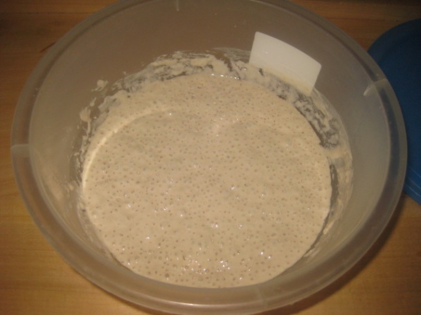 Tradičné domáce bagety (fotorecept) - obrázok 1