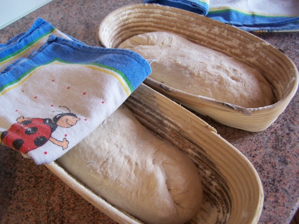 Kváskový zemiakový chlieb (fotorecept) - obrázok 4