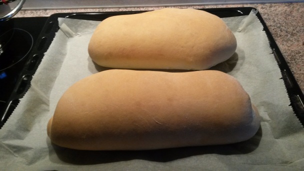 Vynikajúci grécky chlieb (fotorecept) - obrázok 5