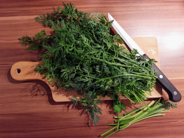 Pesto z mrkvovo-petržlenovej vňate - obrázok 1