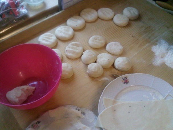 Samosa (fotorecept) - obrázok 1