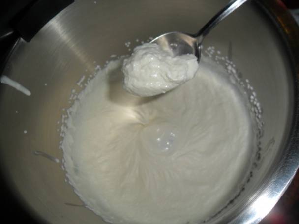 Domáci pribináčik (fotorecept) - obrázok 3