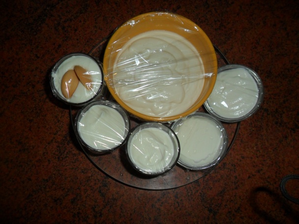 Domáci pribináčik (fotorecept) - obrázok 6