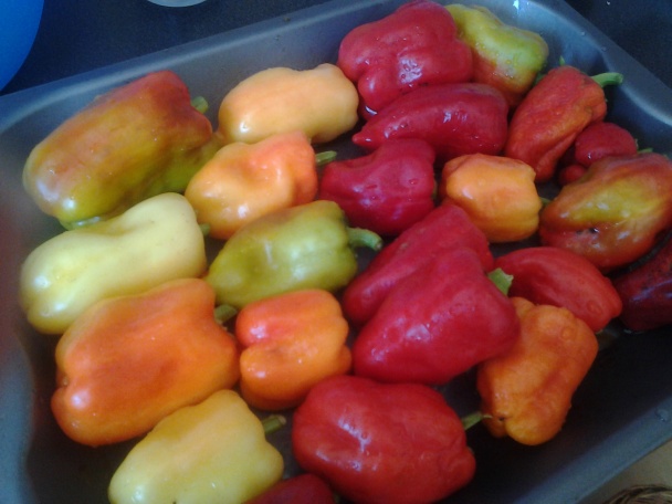 Pečená zaváraná paprika - obrázok 1