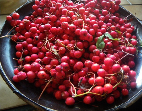 Jarabinové (jeřabinové) pyré (fotorecept) - obrázok 1