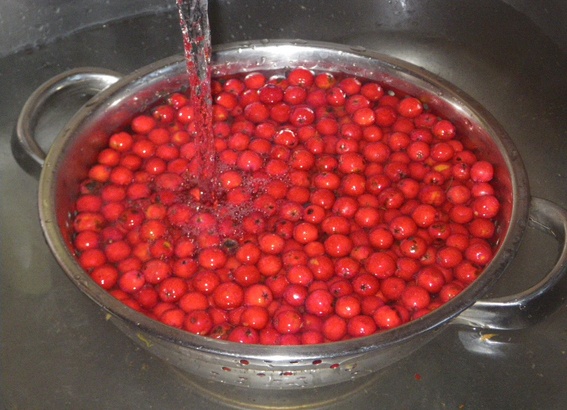 Jarabinové (jeřabinové) pyré (fotorecept) - obrázok 2