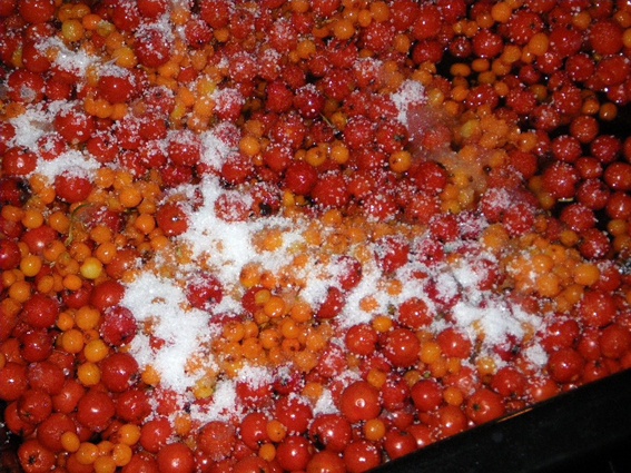 Jarabinové (jeřabinové) pyré (fotorecept) - obrázok 3