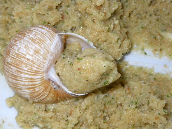 Slimáci bez slimákov (fotorecept) - obrázok 3