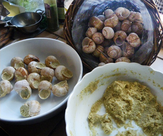 Slimáci bez slimákov (fotorecept) - obrázok 4