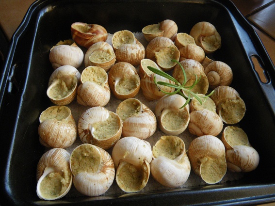 Slimáci bez slimákov (fotorecept) - obrázok 5