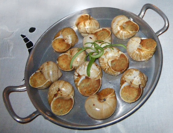 Slimáci bez slimákov (fotorecept) - obrázok 6