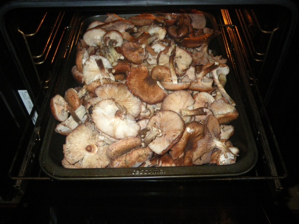 Pečené václavky s chrenom alebo cesnakom (fotorecept) - obrázok 1