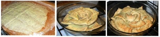 Trhací chlieb (fotorecept) - obrázok 4