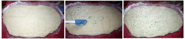 Trhací chlieb (fotorecept) - obrázok 3