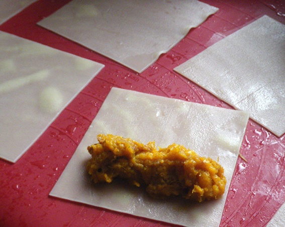 Dýňové (tekvicové) cannelloni - obrázok 4