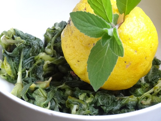 Mangold s mätou na paradajkovom pyré (fotorecept) - obrázok 1