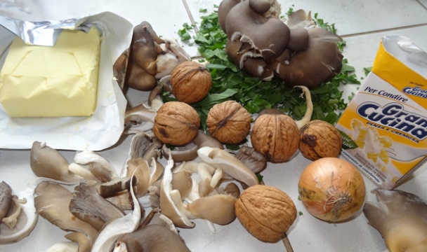 Krémová polévka z hlívy ústřičné a vlašských ořechů (fotorecept) - obrázok 1