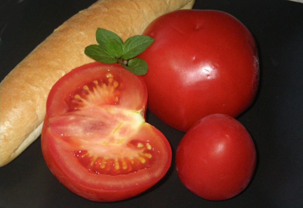 Salmorejo (fotorecept) - obrázok 1