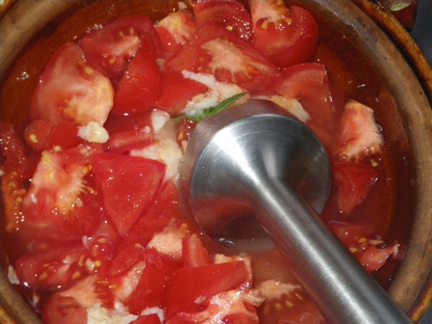 Salmorejo (fotorecept) - obrázok 2
