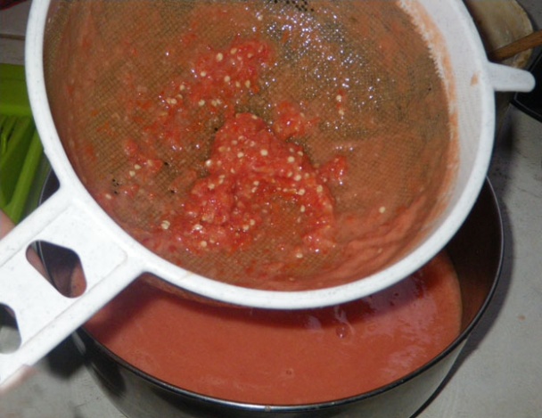 Salmorejo (fotorecept) - obrázok 3