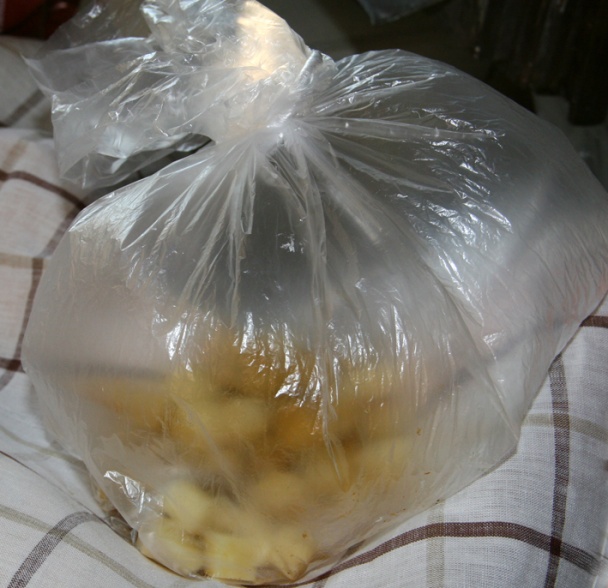 Sýrové kostky obalené kari a česnekem (fotorecept) - obrázok 3