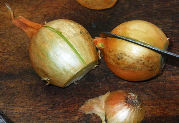 Soğan Kebabı - cibule plněná mletým masem (fotorecept) - obrázok 2