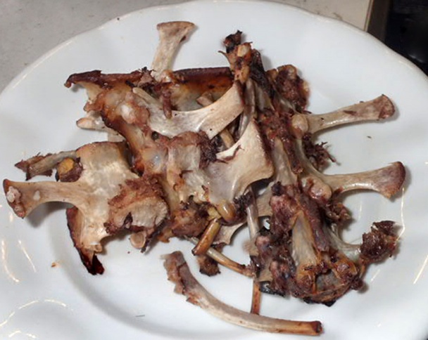 Jehněčí česnekem špikované, na česneku pečené (fotorecept) - obrázok 10