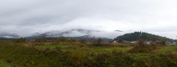 Výroční vejce ve sladkokyselém nálevu se slaninou - obrázok 6
