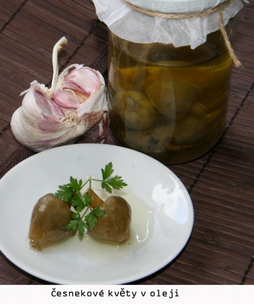Česnekové květy v oleji (fotorecept) - obrázok 4