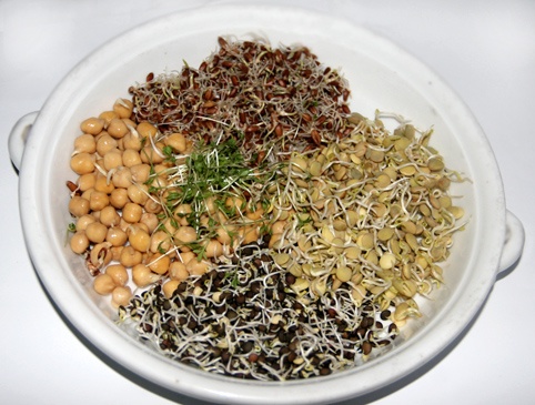 Klíčkový salát (fotorecept) - obrázok 3