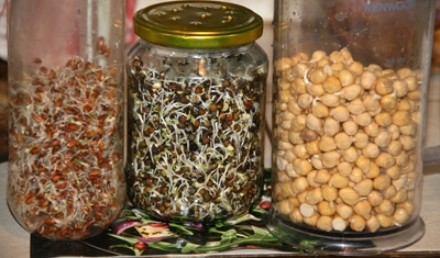 Klíčkový salát (fotorecept) - obrázok 2