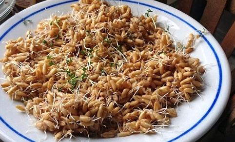 Dvojdrožďová polévka  - obrázok 6