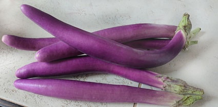 Italský lilek (baklažán) (fotorecept) - obrázok 7
