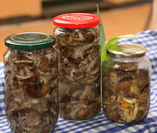 Huby v hubovom vývare - obrázok 4