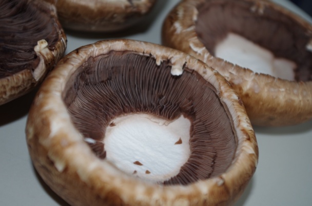 Plnené šampiňóny (fotopostup) - obrázok 2