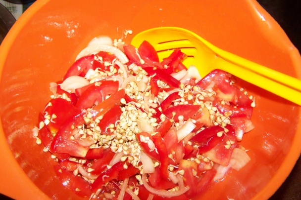 Paradajkový šalát s plackou - obrázok 1