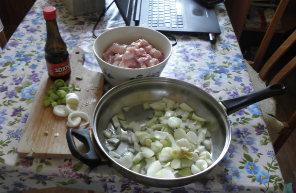 Dusené kuracie mäso so zeleninou (fotorecept) - obrázok 1