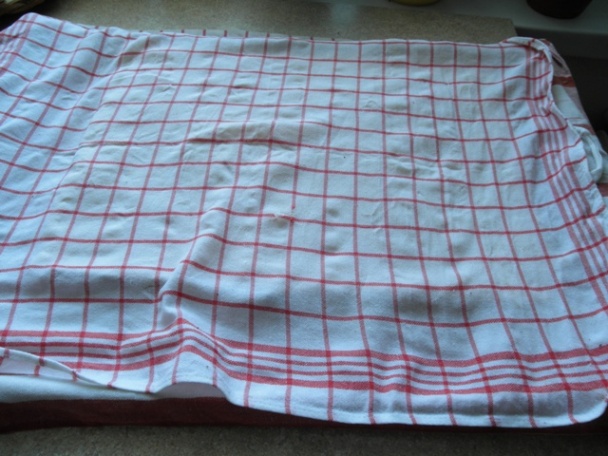 Tvarohová torta - slimák (fotorecept ) - obrázok 4