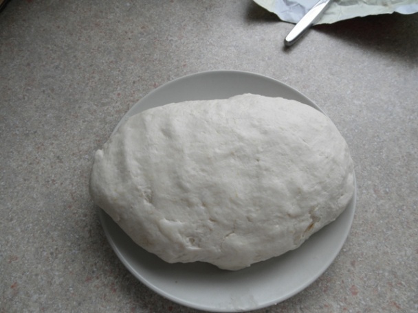 Tvarohový krokodíl v lístkovej koži (fotorecept) - obrázok 3