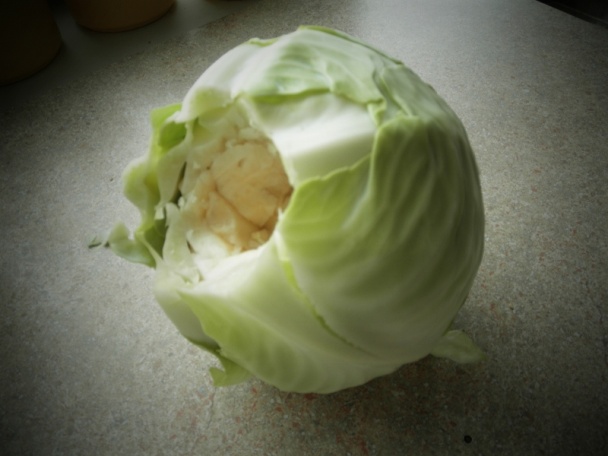 Plnená kapusta s bielou čapičkou (fotorecept) - obrázok 1