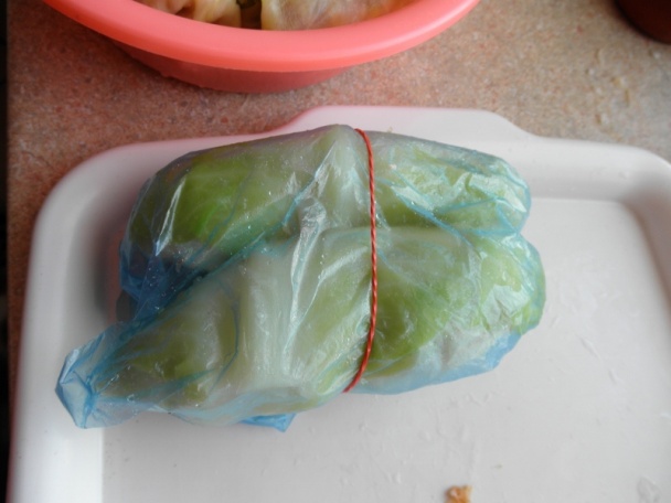 Plnená kapusta s bielou čapičkou (fotorecept) - obrázok 12