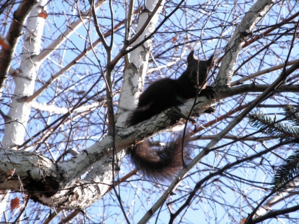 Pudingový vrkoč  -fotorecept - obrázok 5