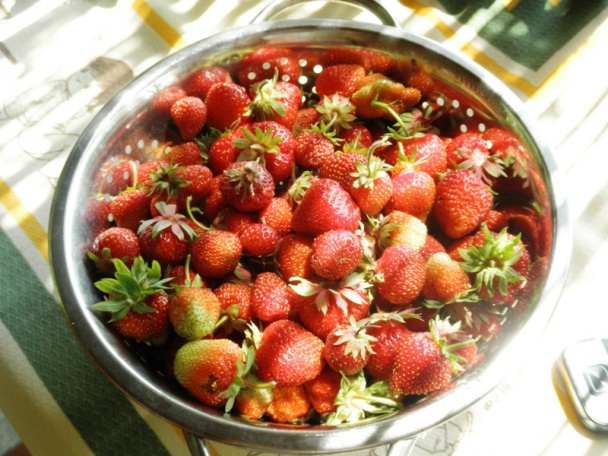 Jahodová torta -jednoduchá (fotorecept) - obrázok 2