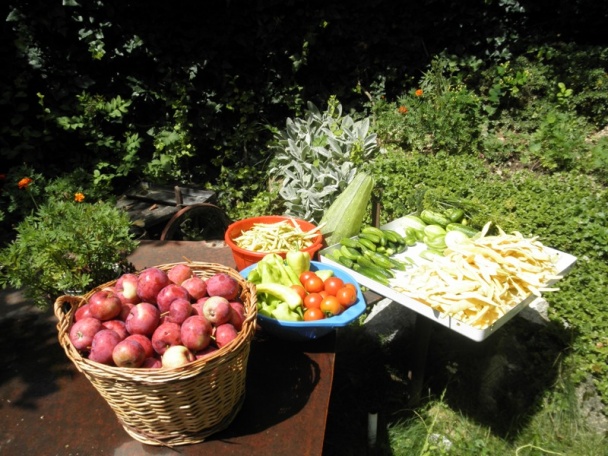 Paprika a uhorky konzervované bez sterilizácie na studeno/ fotorecept/ - obrázok 2