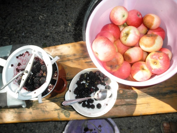 Jablkovo-černicový džem (fotorecept) - obrázok 1