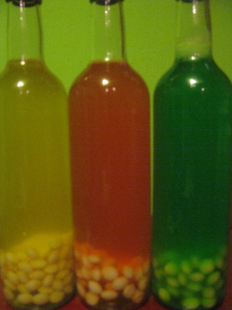 Rainbow vodka alebo Dúhova vodka...(fotorecept) - obrázok 5