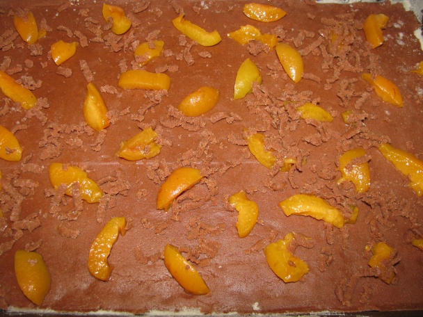 Kokosovo-marhuľová dobrota (fotorecept) - obrázok 3